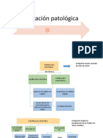 Clase 8. Calcificación Patologica - Envejecimiento Celular