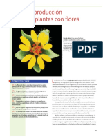 Reproducción de plantas con flores