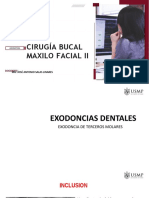 Exodoncia Terceros Molares Usmp 2023-1