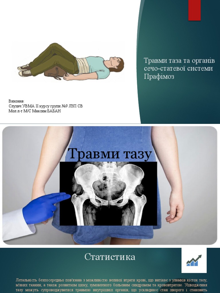 Таз | PDF