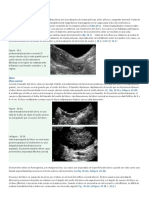 Pelvis Femenino...... Imprimir