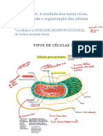 Aula 01 - Célula. A Unidade Dos Seres Vivos. Diversidade e Organização Das Células.