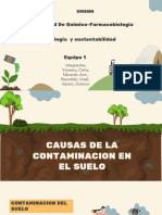 Contaminacion Del Suelo