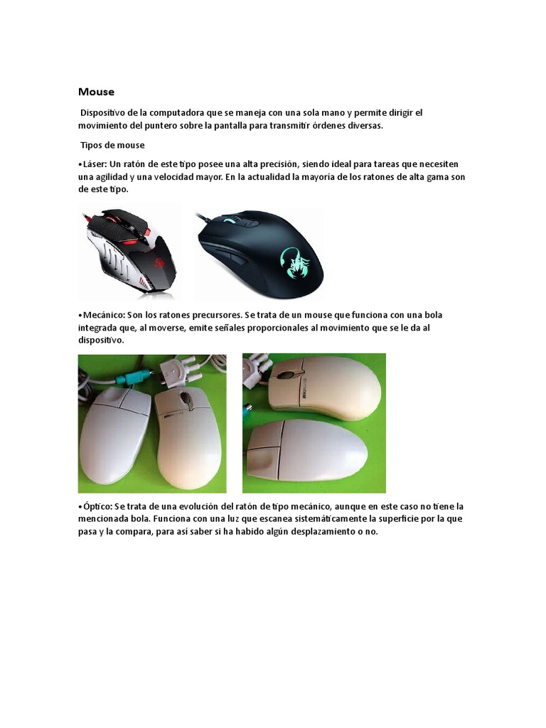Tipos de Mause | PDF | Teclado | Escáner de imagen