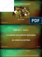 FITOTERAPIA+E+PLANTAS+MEDICINAIS+-+Portal+Prosperidade