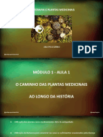 FITOTERAPIA E PLANTAS MEDICINAIS - Portal Prosperidade