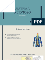 Sistema Nervioso Anatomia