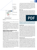 Fundamental Neuroscience For Basic and Clinical Applications.2018.5th Ed Duane E. Haines 8