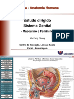 ED Pratica Sistema Genital Masculinofeminino 202122