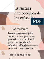 Microestructura de Los Musculos