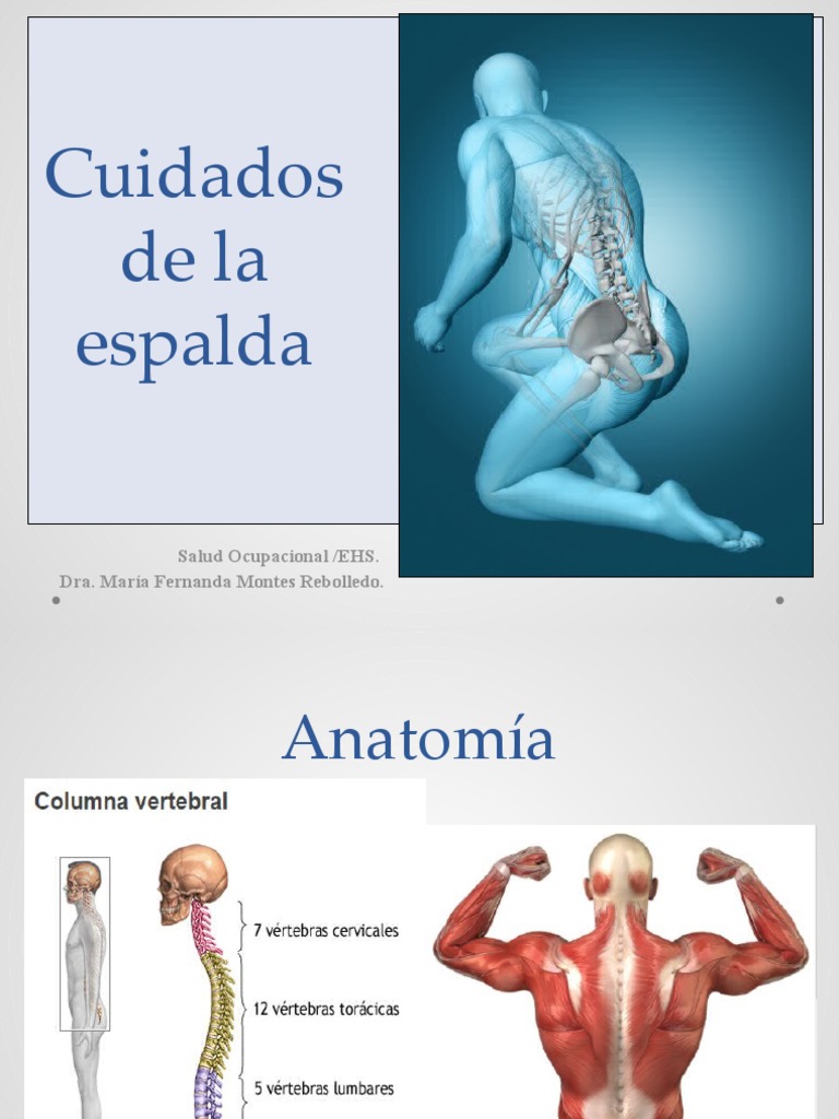 Cuidados de La Espalda | PDF | Factores humanos y ergonomía