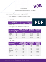 02-03 T Rminos y Condiciones LDI