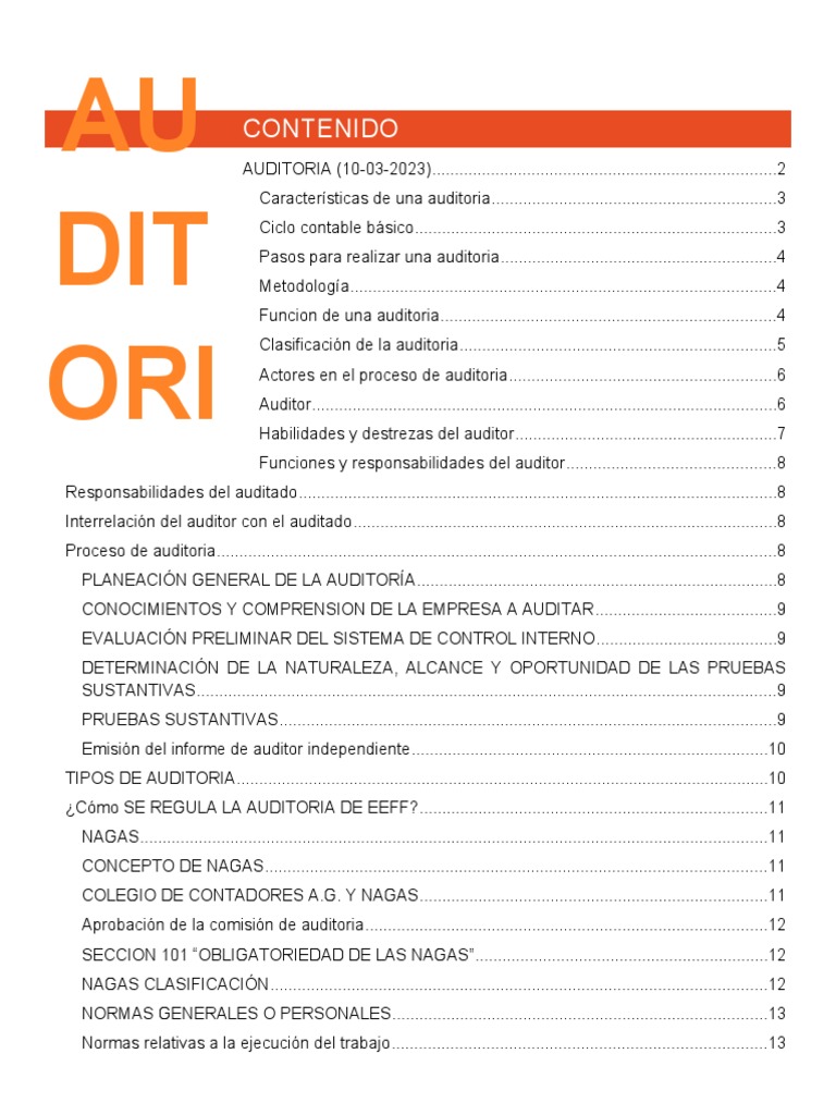 Guía Completa de Auditoría Financiera | PDF | Auditoría | Planificación
