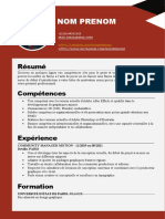 CV Exemple Gratuit Word Cvcanva 3