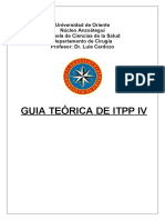 Guia Teorica de Itpp IV