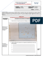 Evaluación de Estudios Sociales Septimo