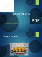 GLUCÃLISIS-2022