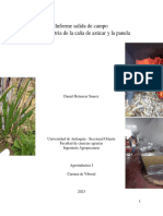 Informe Salida de Campo Trapiche - AgroIndustria I