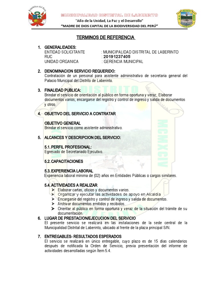 modelo-de-tdr-pdf