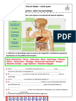 Ficha de Ciencia Sistema Digestivo Jueves 15 de Junio Del 2023 Cuarto