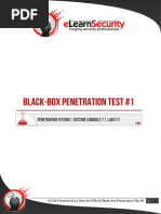 Black-Box Penetration Test 1