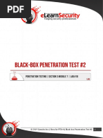 Black-Box Penetration Test 2