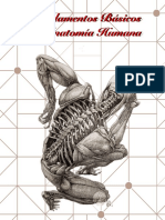 Fundamentos Básicos de Anatomía Humana