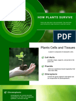 Green Modern Ecology Ecosystem Presentation Template