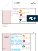 2 Plan Periodico Naturaleza y Matematica