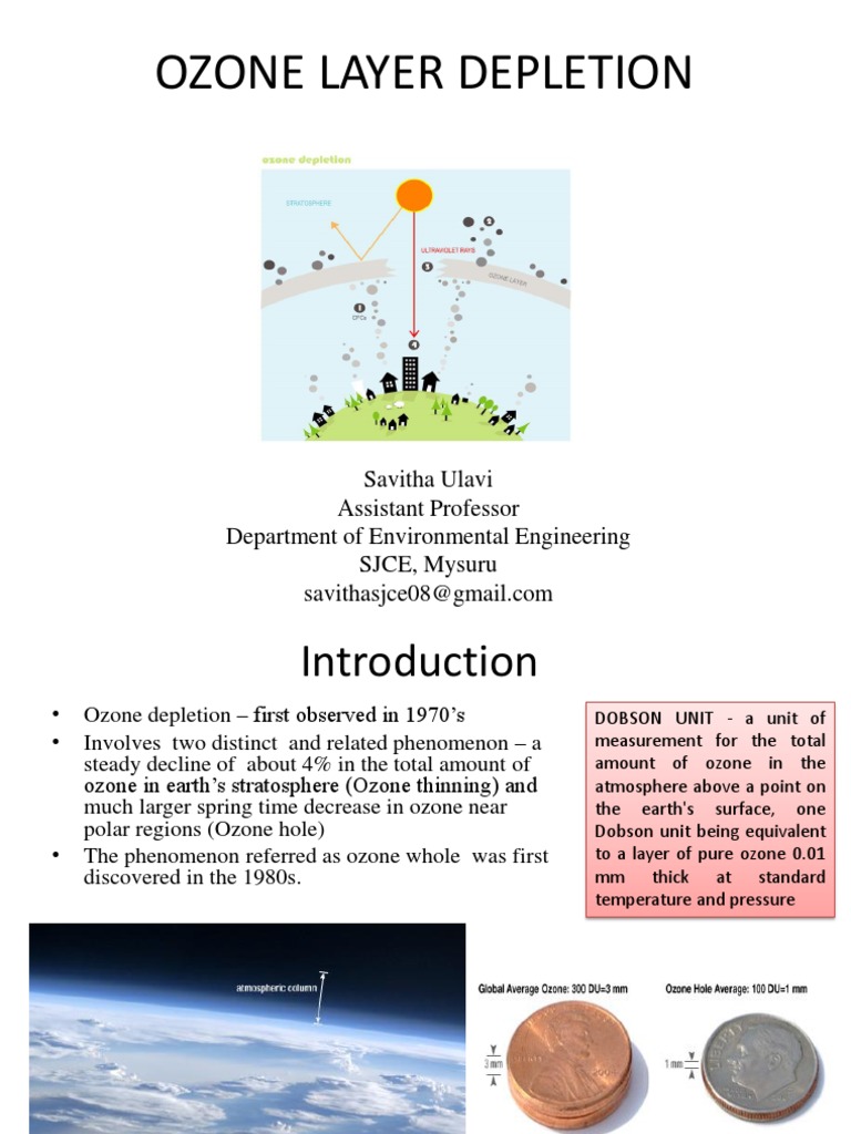 Ozone Layer Depletion | PDF