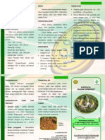 Leaflet Budidaya Jagung Komposit