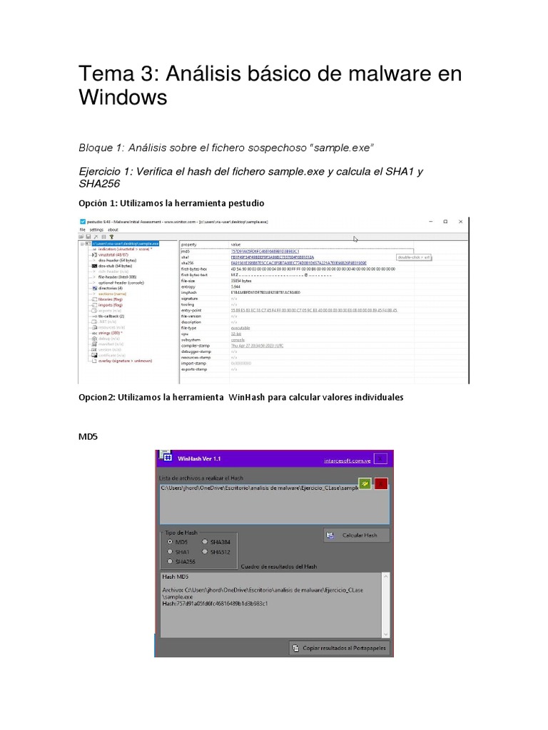 Tema 3 Análisis Básico de Malware | PDF