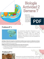 Biología - Actividad 2 - Semana 7