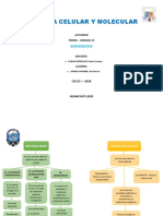 Biologia Celular Y Molecular: Bioenergetica