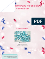 Bacterias de Género Saccharomyces