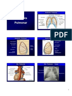 Anatomia Radiológica Pulmonar