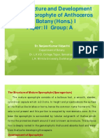 B.SC - Botany (Hons.) I - Structure and Development of Sporophyte of Anthoceros - by Dr. Sanjeev Kumar Vidyarthi - 06.05.2020
