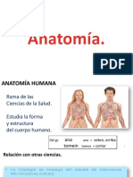 Presentaciones 1 Anatomía Tec Enf Introduccion Planimetría Imagenología