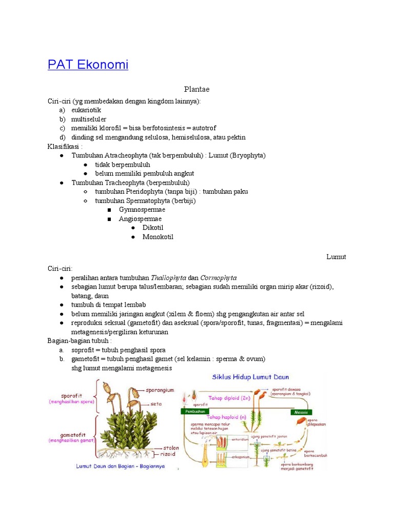 Biologi: Plantae | PDF