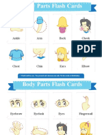 Body Parts Flash Cards 2x3