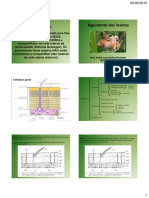 7 Aula Tegumento - Dos - Insetos