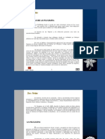 Download Historia de La Filigrana - PortalGuarani by Portal Guarani SN65125474 doc pdf