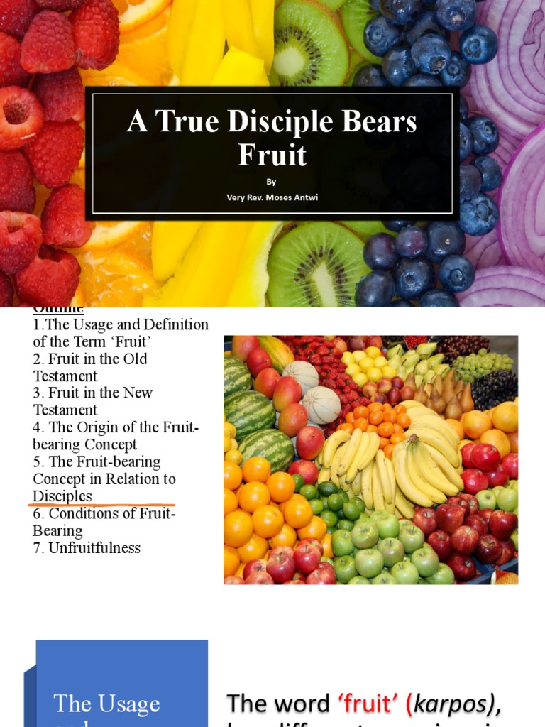A Disciple Bears Fruit PDF