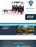 Pencak Silat