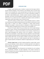 Lucrare Licenta - 2024 - Model | PDF