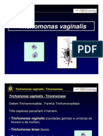 aula_giardia_trichomonas