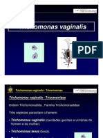 Trichomonas vaginalis - causador da tricomoníase