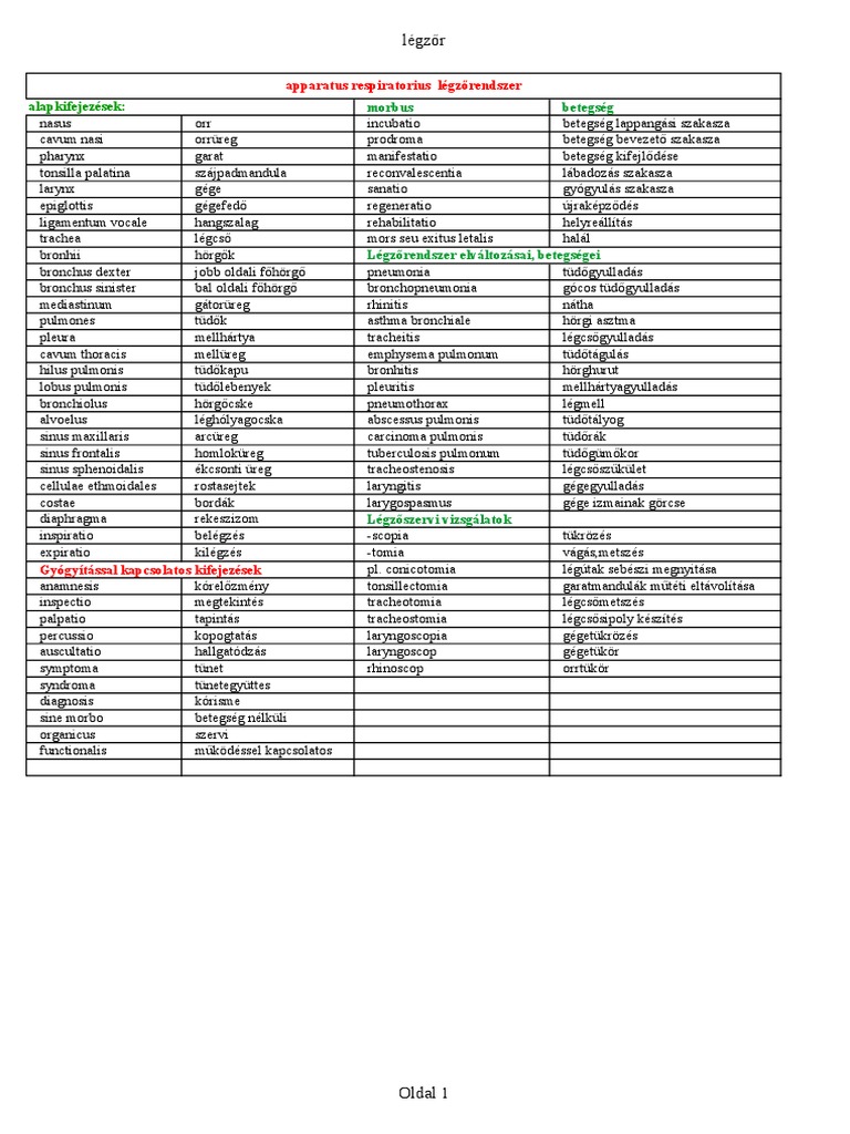7 latin l gz rendszer pol s pdf