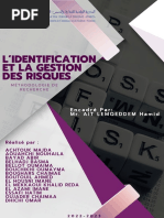 Cartographie des Risques : Guide Pratique | PDF | Risque | Audit