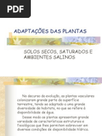 ADAPTAÇÕES DAS PLANTAS
